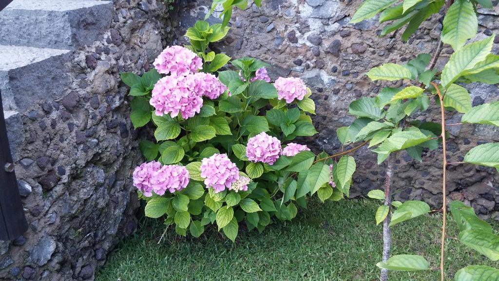 Etma Bed and Breakfast SantʼAlfio Buitenkant foto