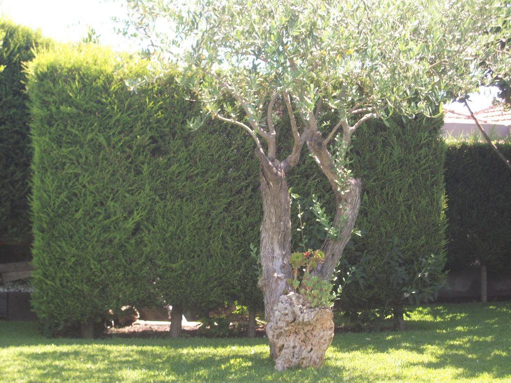 Etma Bed and Breakfast SantʼAlfio Buitenkant foto